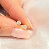 10k Gold Diamond Cluster Studs