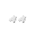 Mini Cluster Star Studs