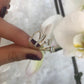 Elevated Birthstone Ring