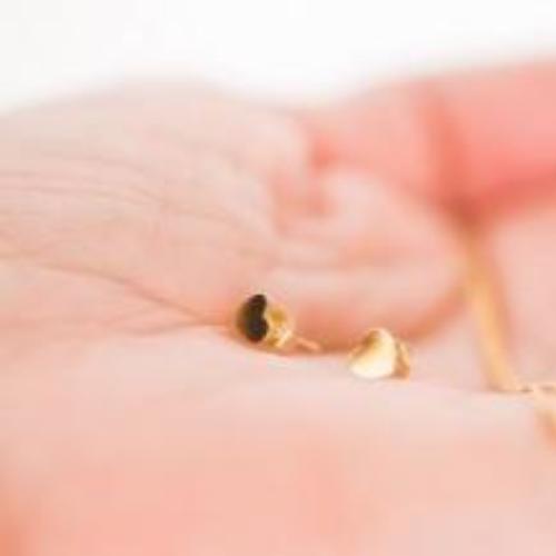 Mini Heart Studs
